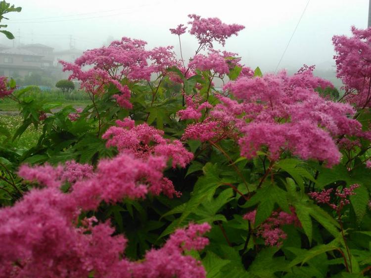 �p�\�R���̔����ւ�