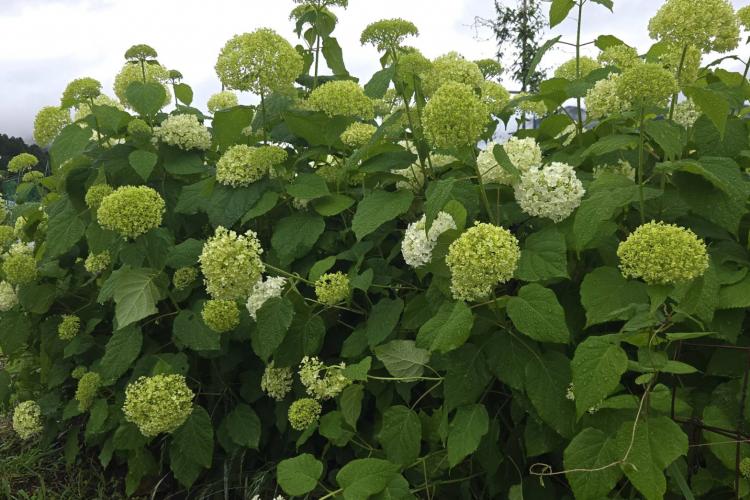 �U��18���@�^��