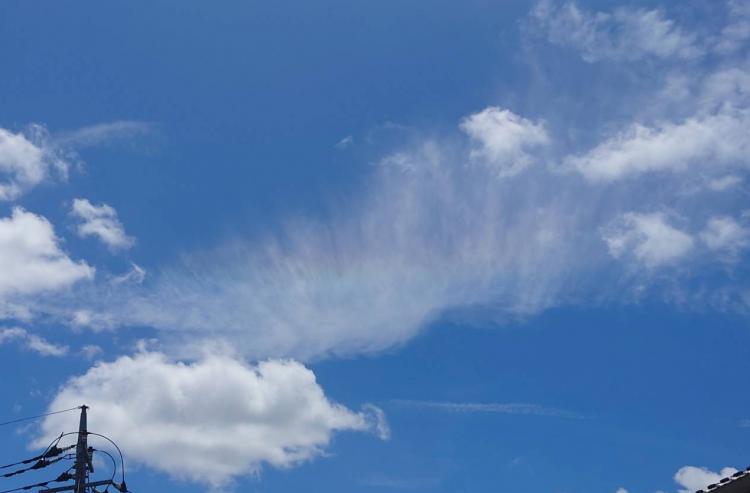 ���̎����