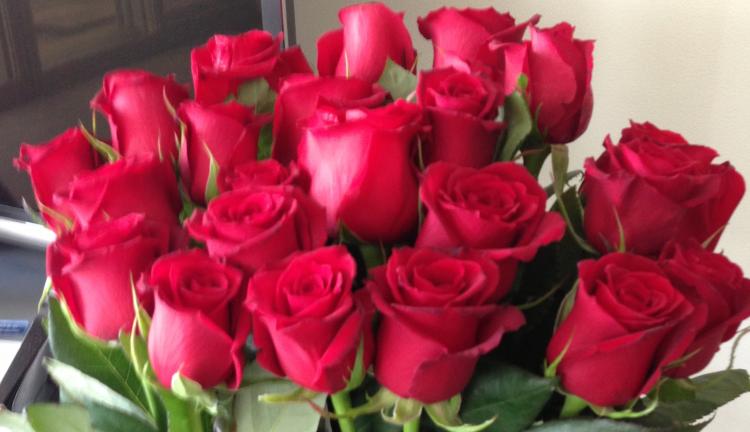 �W���G���[�肢�@12�����܂�