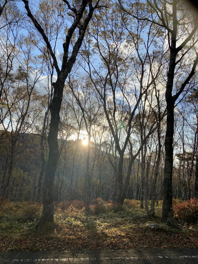 ������O���āA�A�A