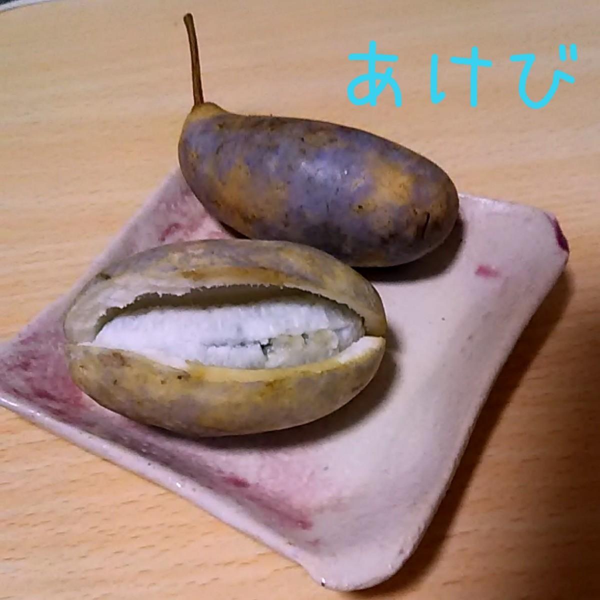 �H�̖��o�����с�