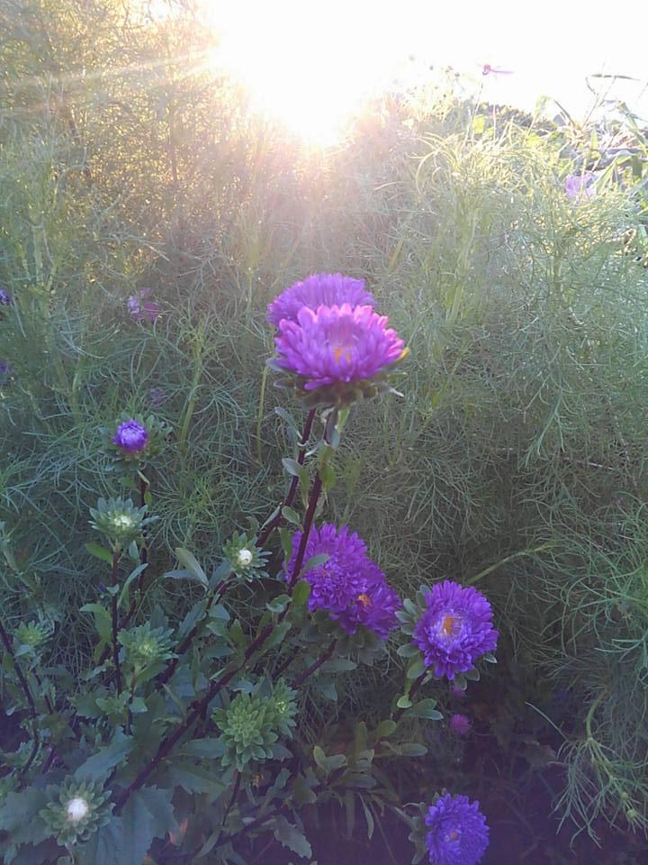 �u���O�ɍʂ�