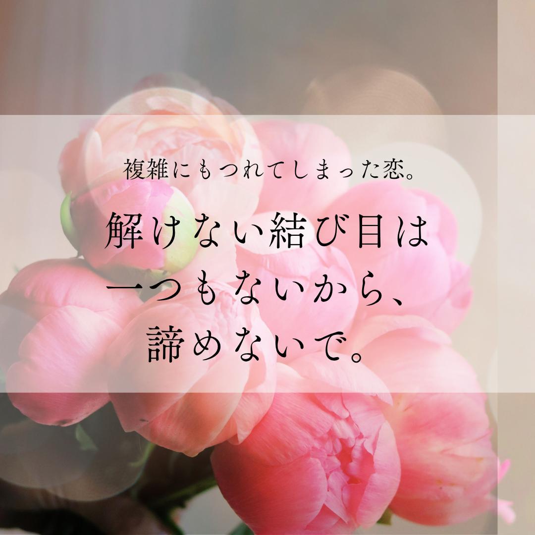 �����ꂽ���G�����قǂ���Ղ̌�