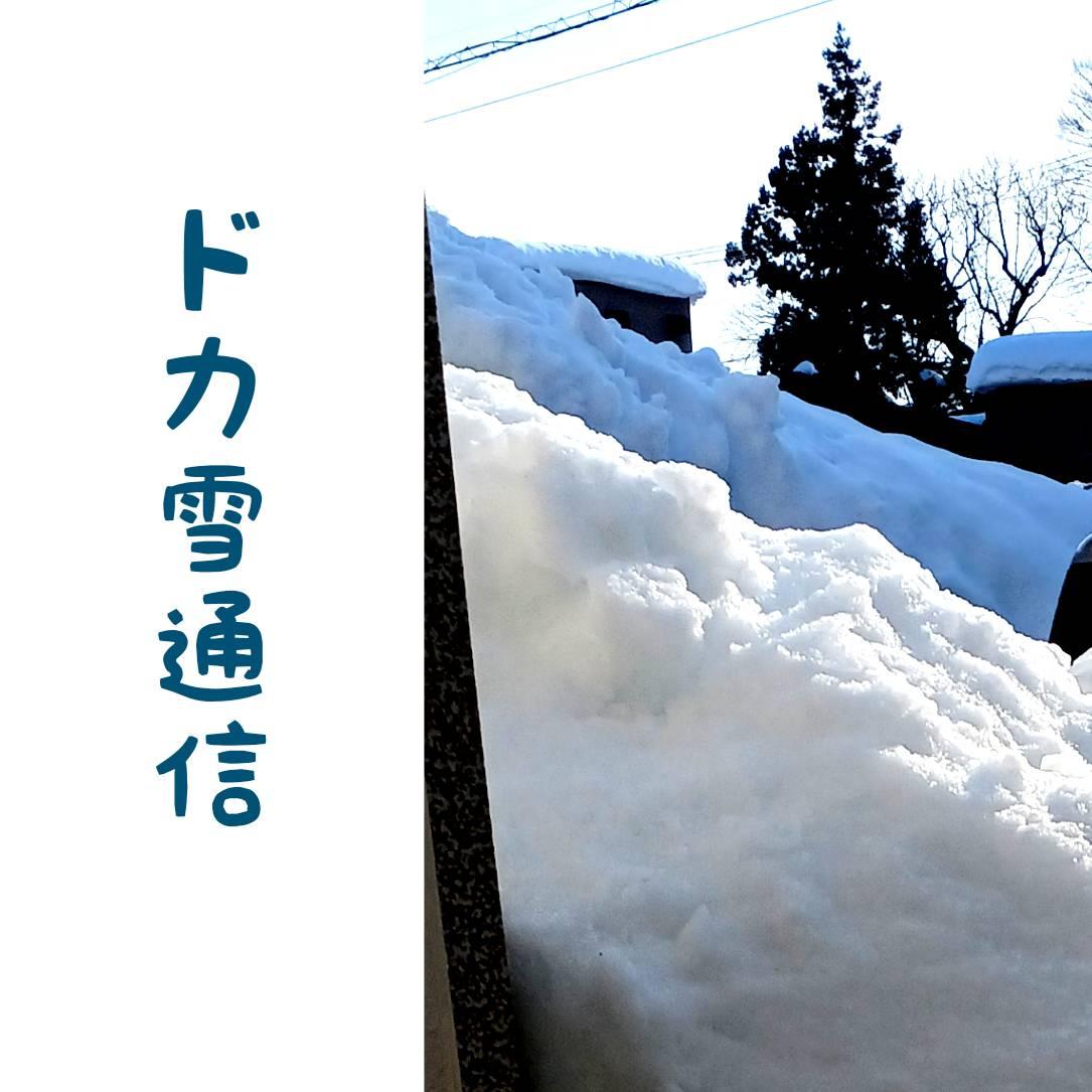 ��A��A��̓��X(�E�́E)