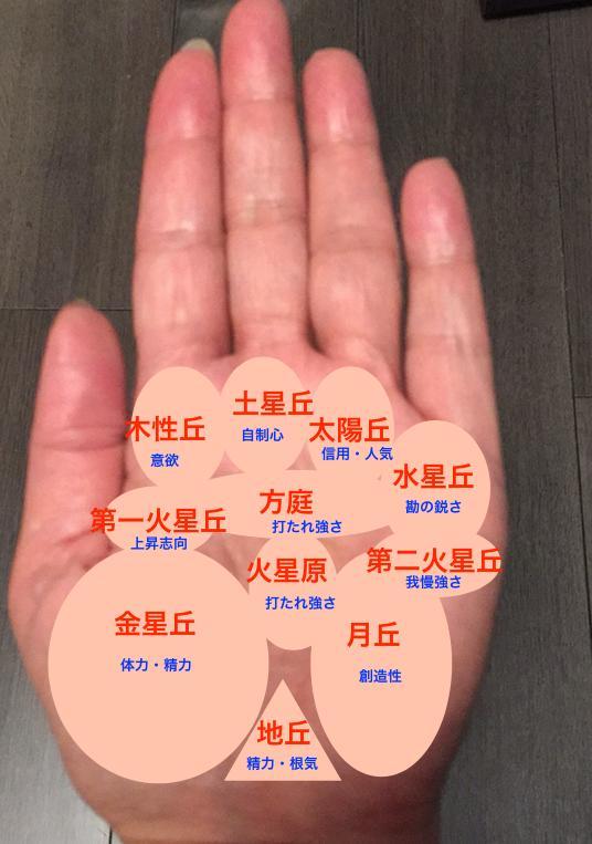 �葊�i��������Ȃ��Ă��킩��C���j
