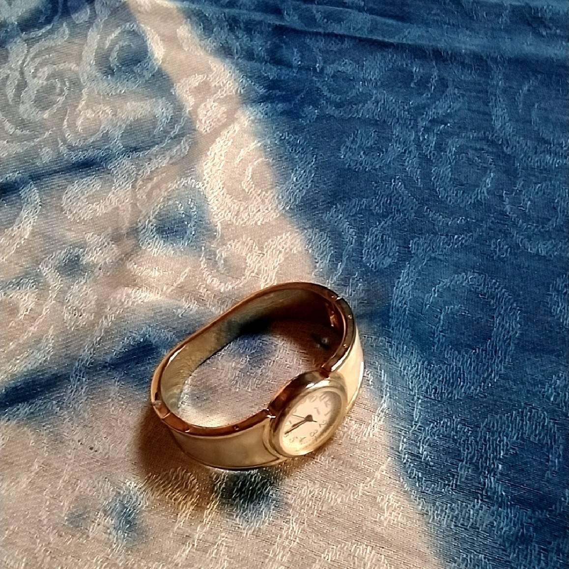 �������^���b�g�̕~����