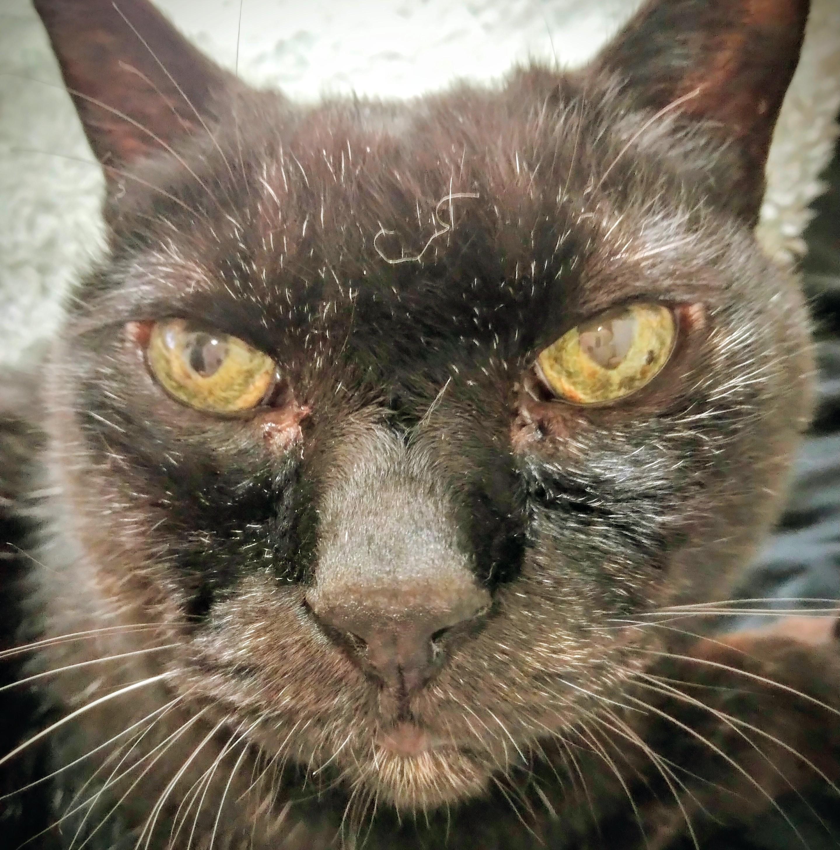 ���ꂩ���3����