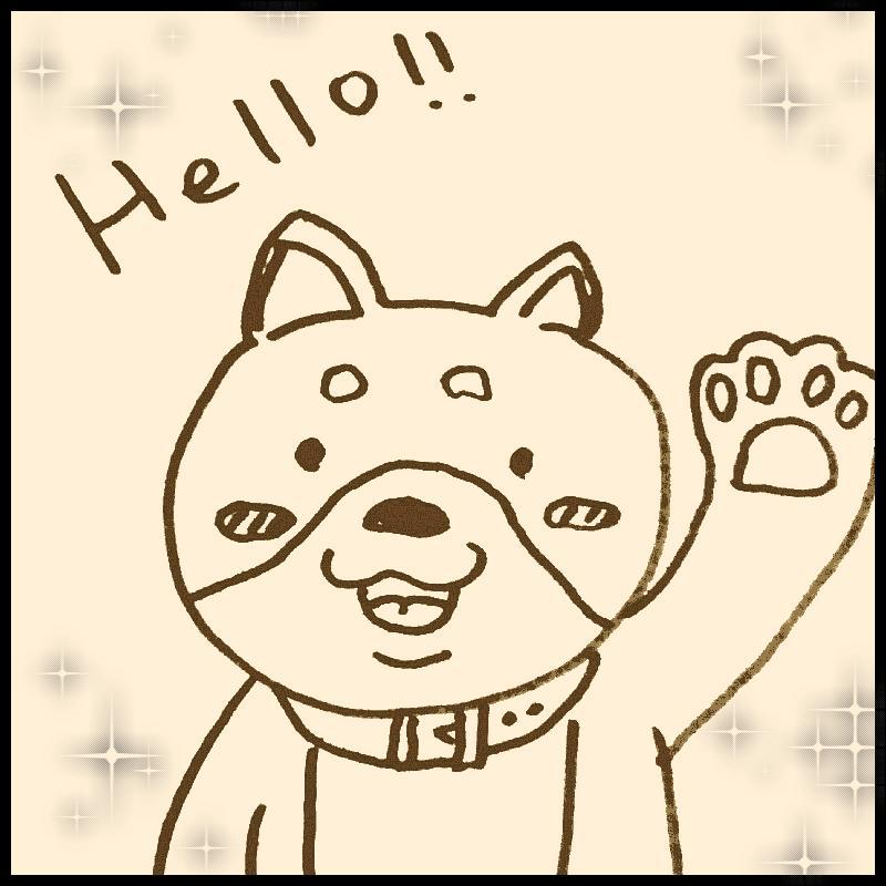 ���A�Ō��܂�I