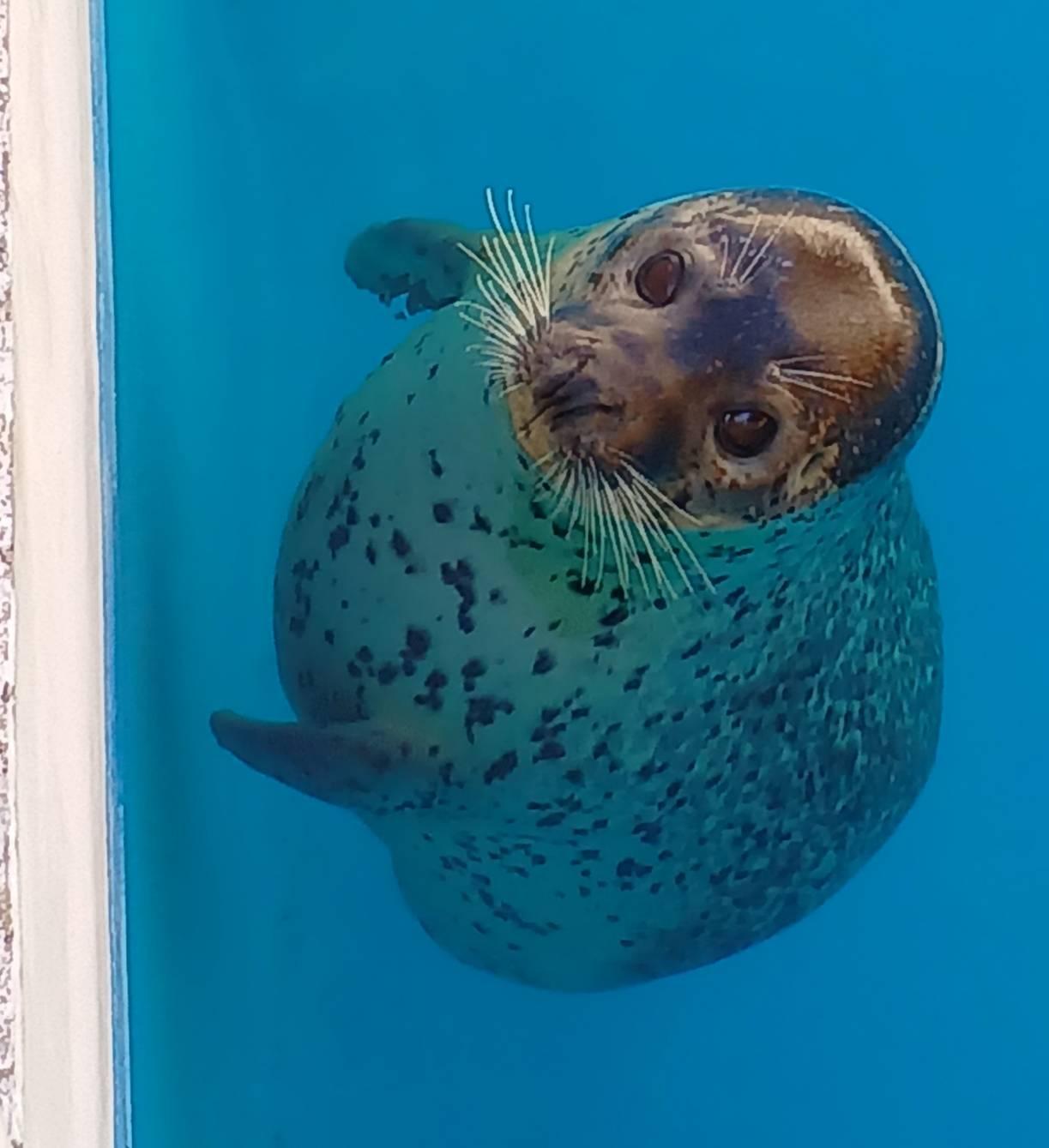 9��18���@�����^