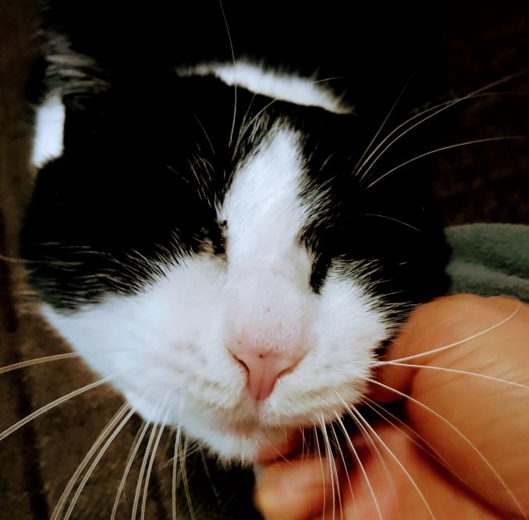 ���Ȃ��̍K����]��ł܂�