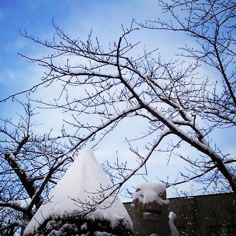 ����ނƂ킽��