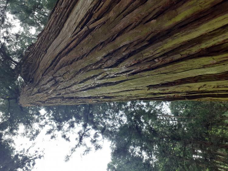 ���ȃq�[�����O