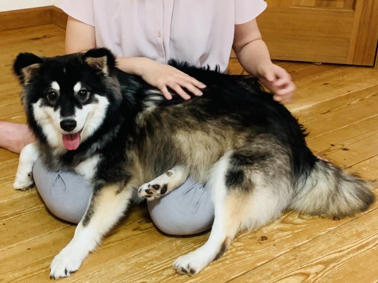 �������̒��ɂ́E�E�E�H