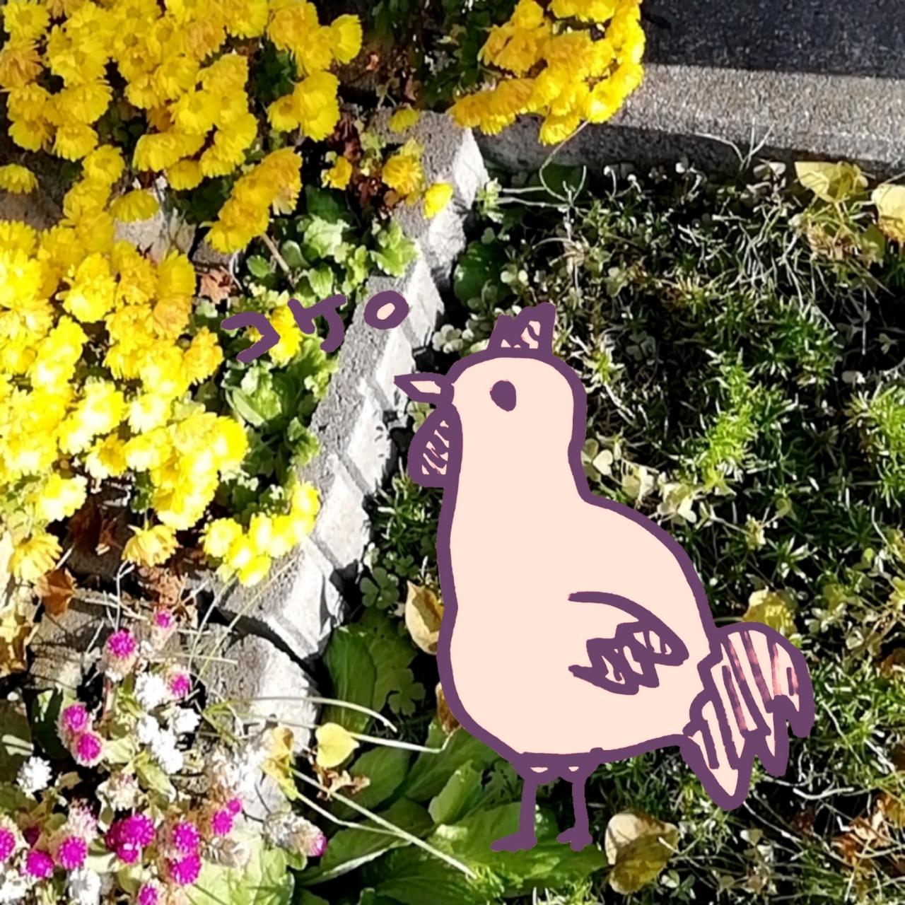 �A�Ȃł��Ȃ���������A�u�A�ȕ�v