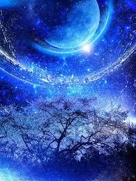 �w�����̓��LNo.11