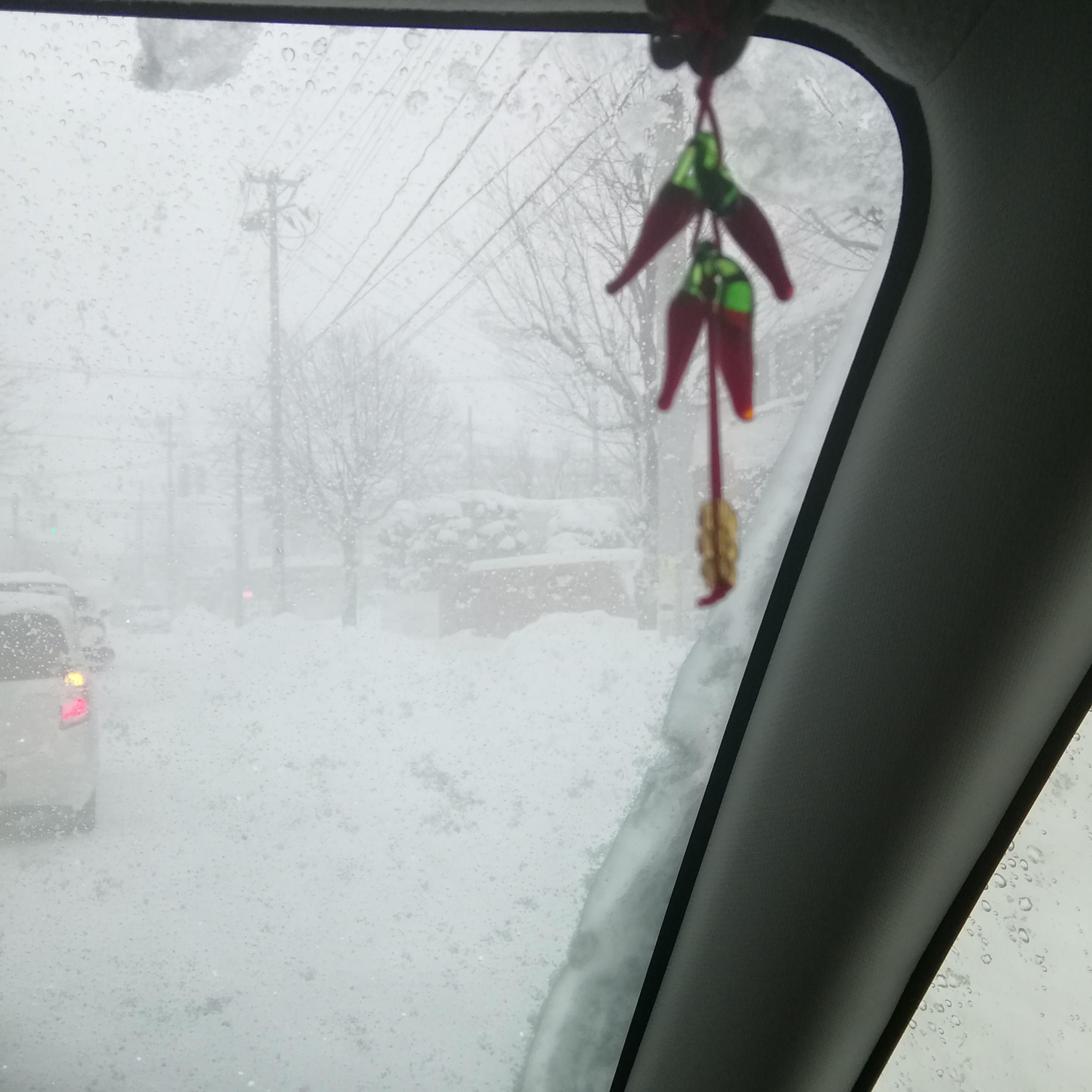 ����͑��̒����o����