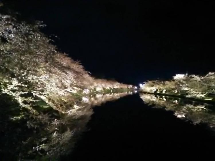 �����4�@��i�������Ă������ގ�