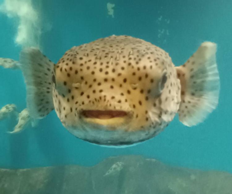 �P��8���^��