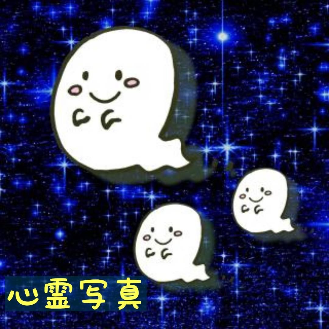 ĂSʐ^B̐̂́cH