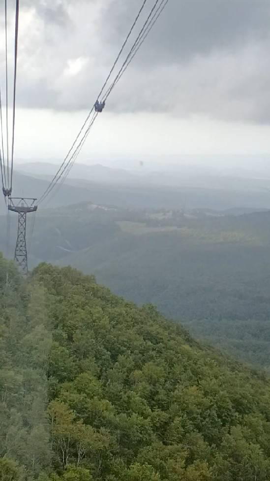 �p���[�X�|�b�g�ȒP�ȑI�ѕ�