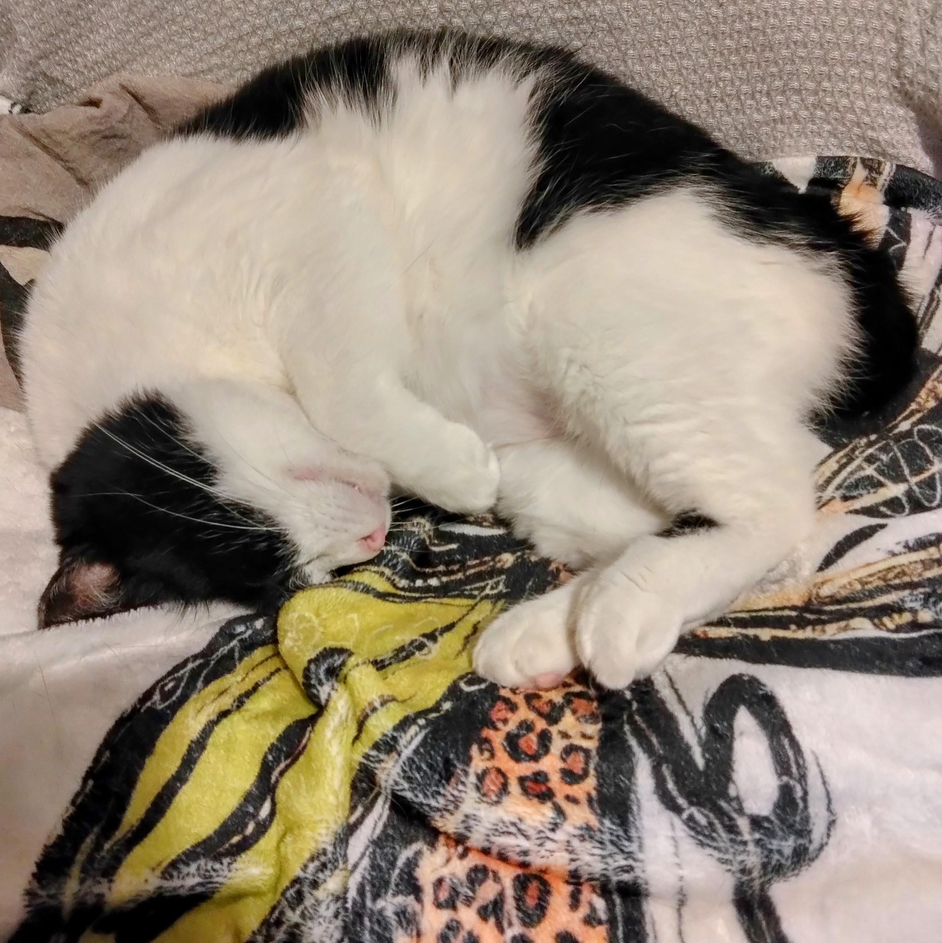 �������邱�Ɓ�