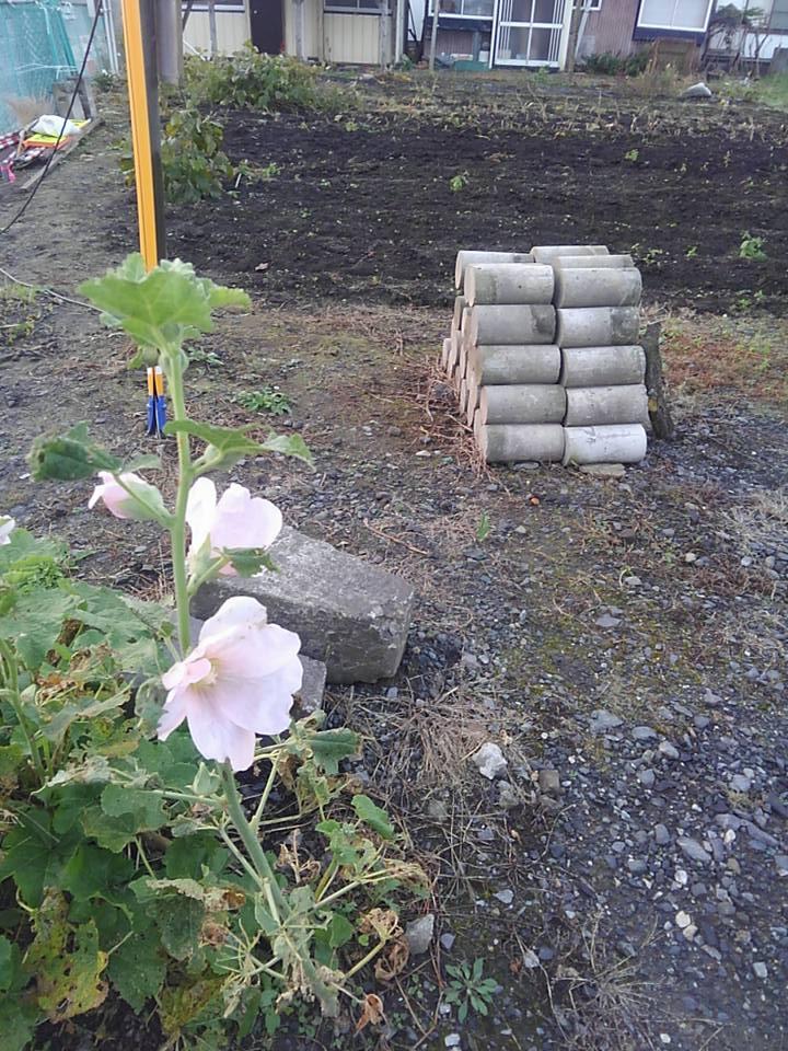 �f��@�o�N�}���B