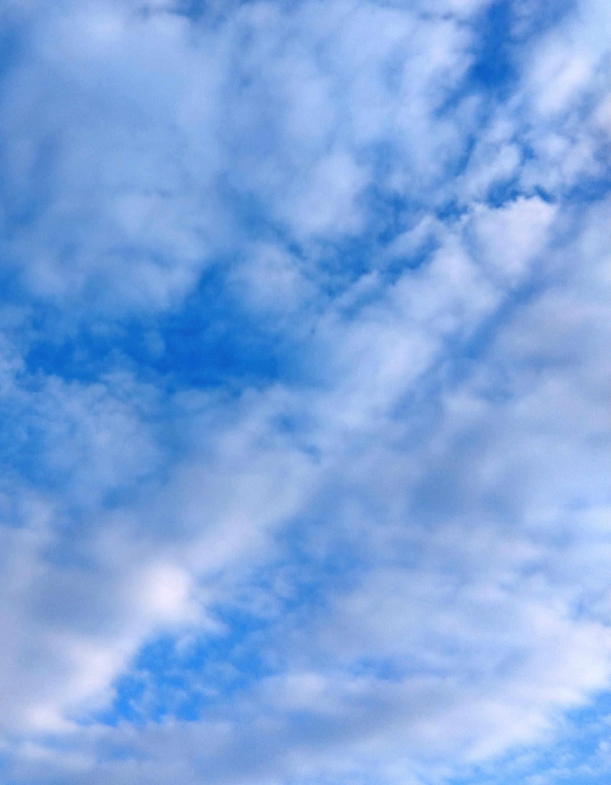 �ς��䂭�̂́c