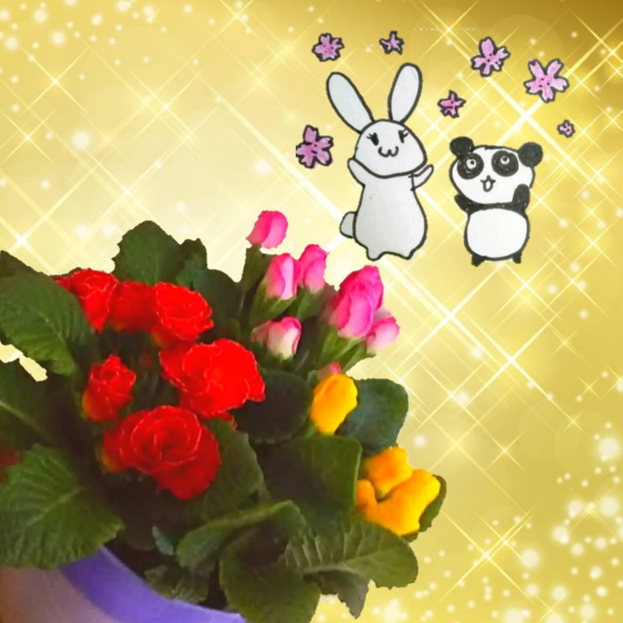 �C���]���ɉԂ𔃂��܂���