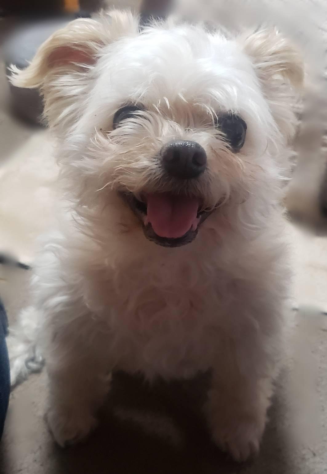 �f�������Ȃ��Ӓ�X�^�C��