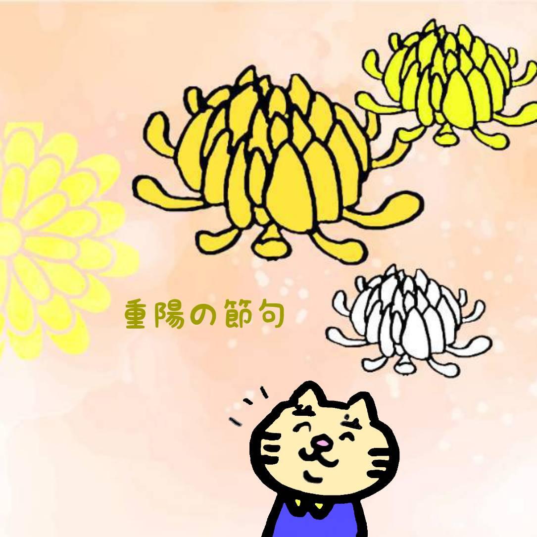�y9/9�z�����͏d�z�̐ߋ�
