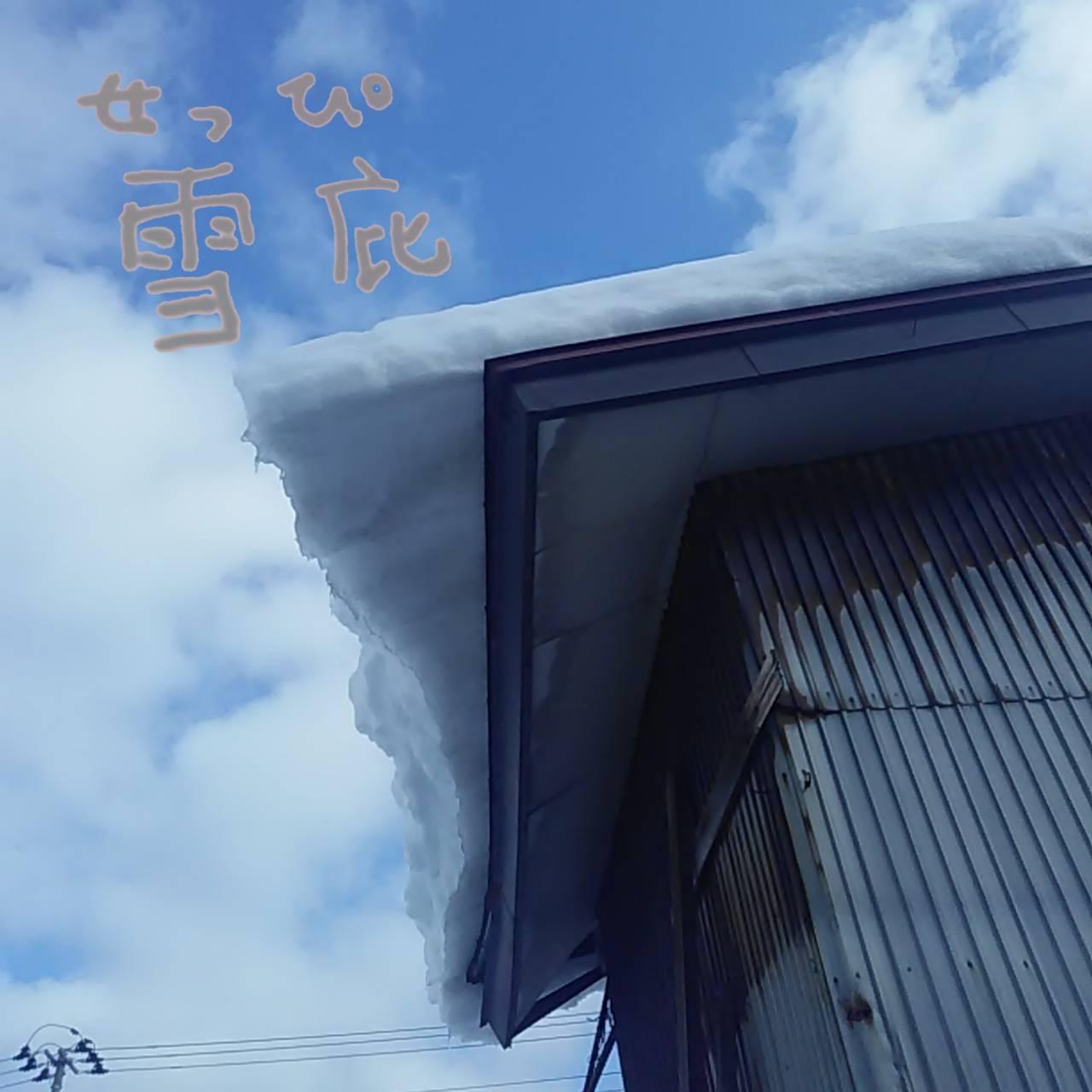 �t�̒������u�����v�Ŋ�����