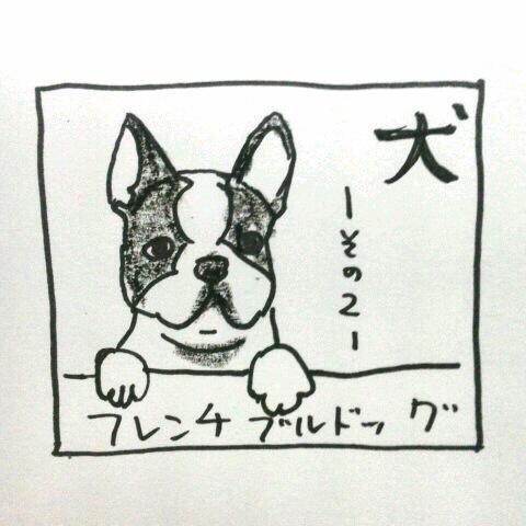 �y�b�g�̋C����