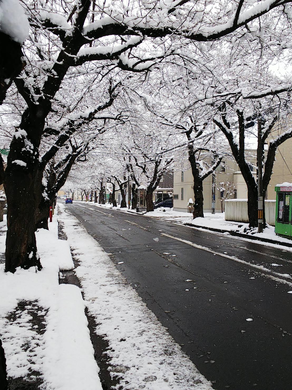 ���A����̉�