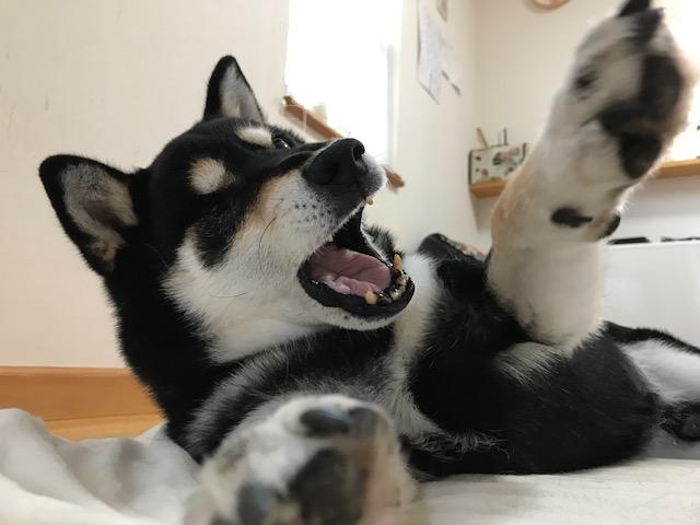 �K���ɂȂ邽�߂Ɂu���N�ł��邱�Ɓv