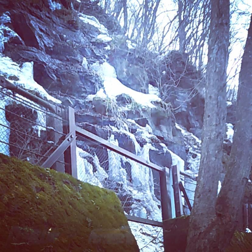 �u�X���v�������m�ł��傤���H