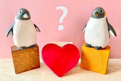 �u�K���ɂȂ鉏�v�̃��A���Ȕ��f�