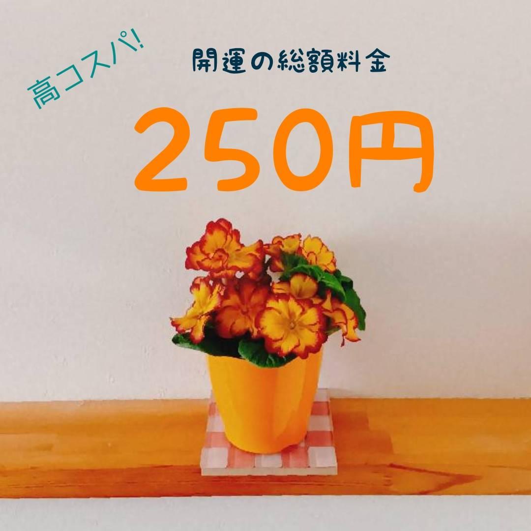 ���z250�~�łł���J�^���@�B