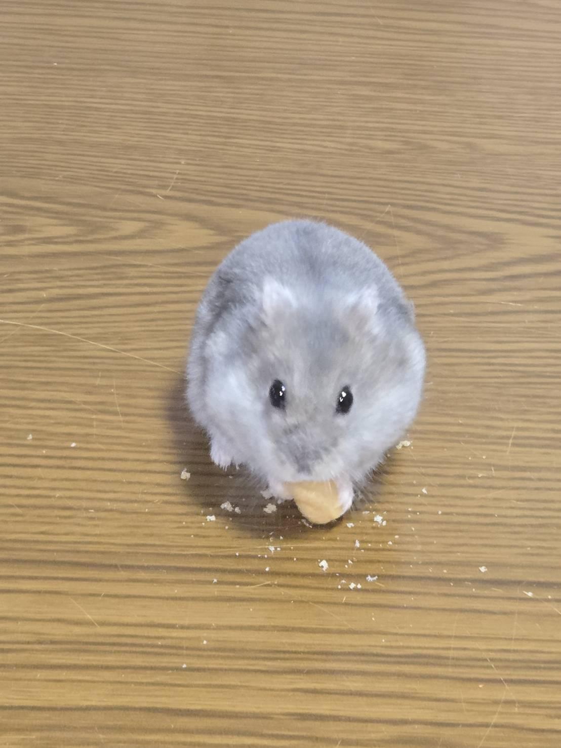  3��7���A8���̉^��