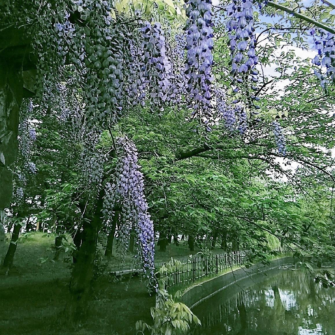 ���ԉ摜�ɕ֗��ȉ��H�A�v��