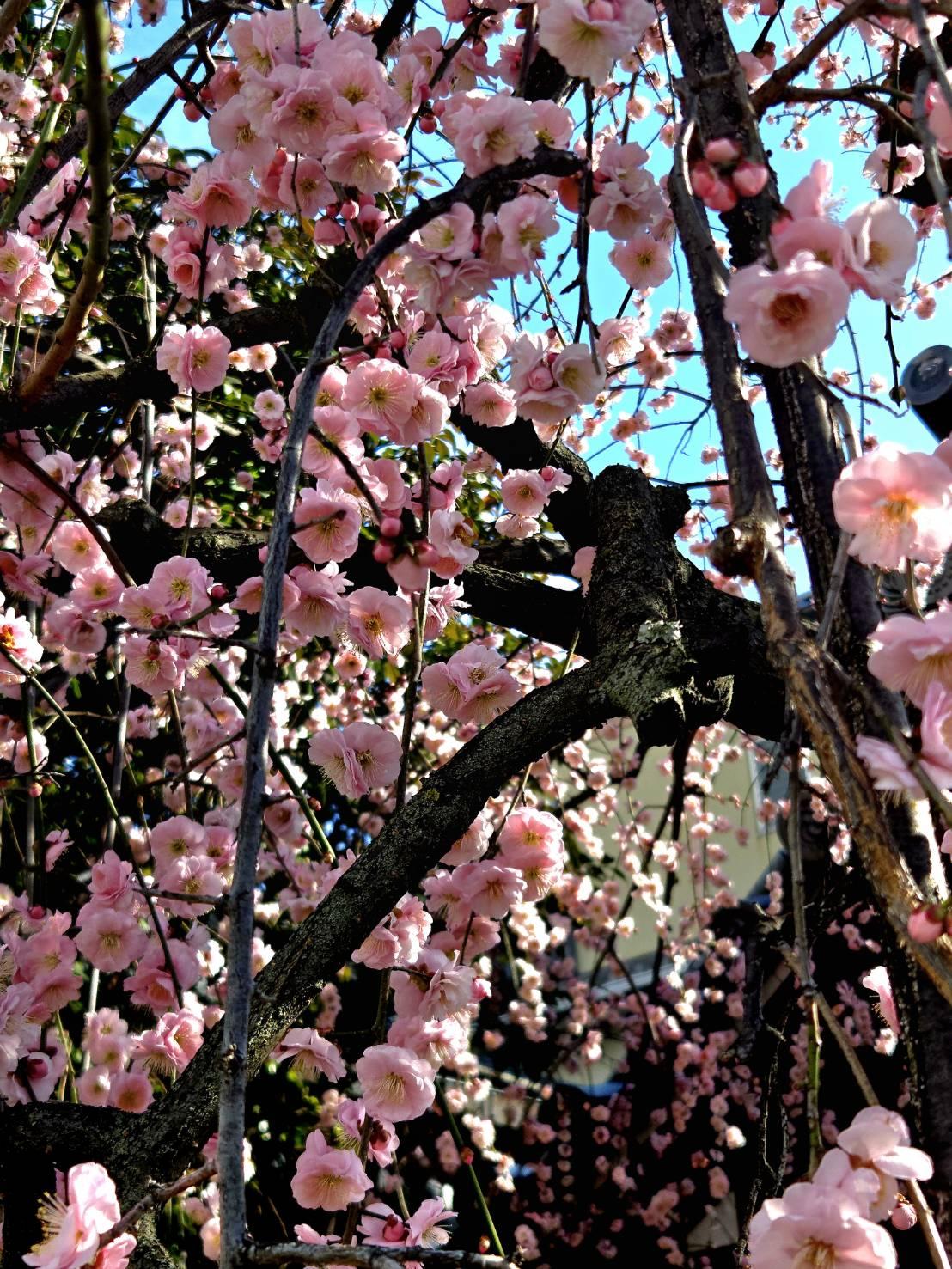 3��13���A14���̉^��