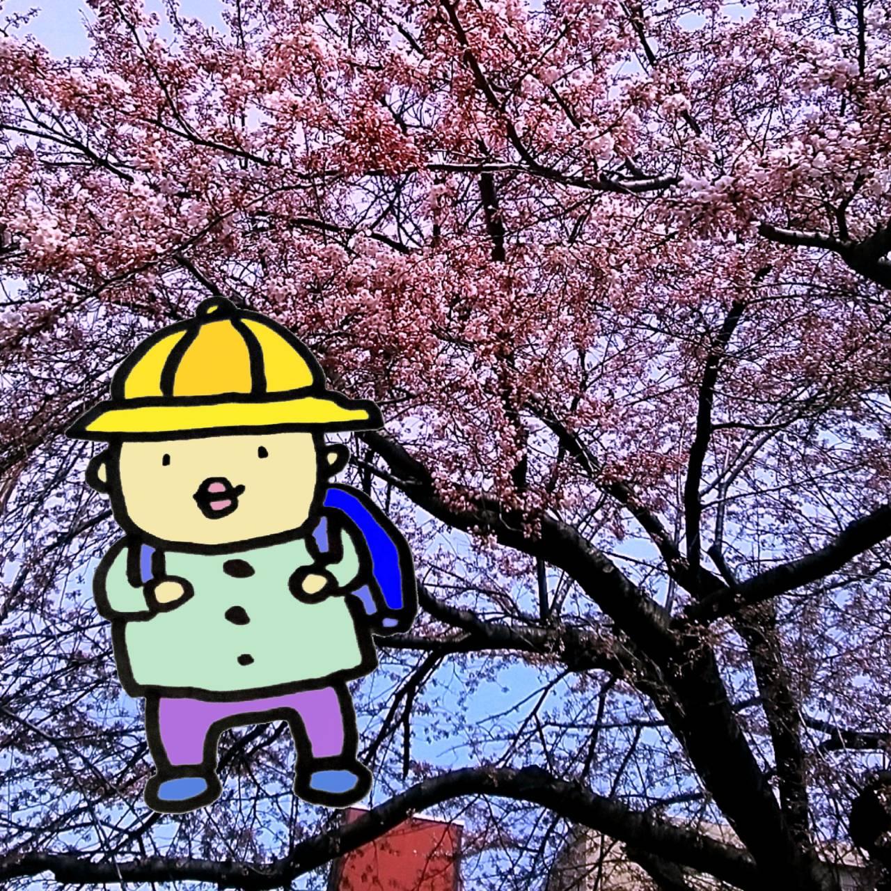 �炢�����Ŏ���z���B