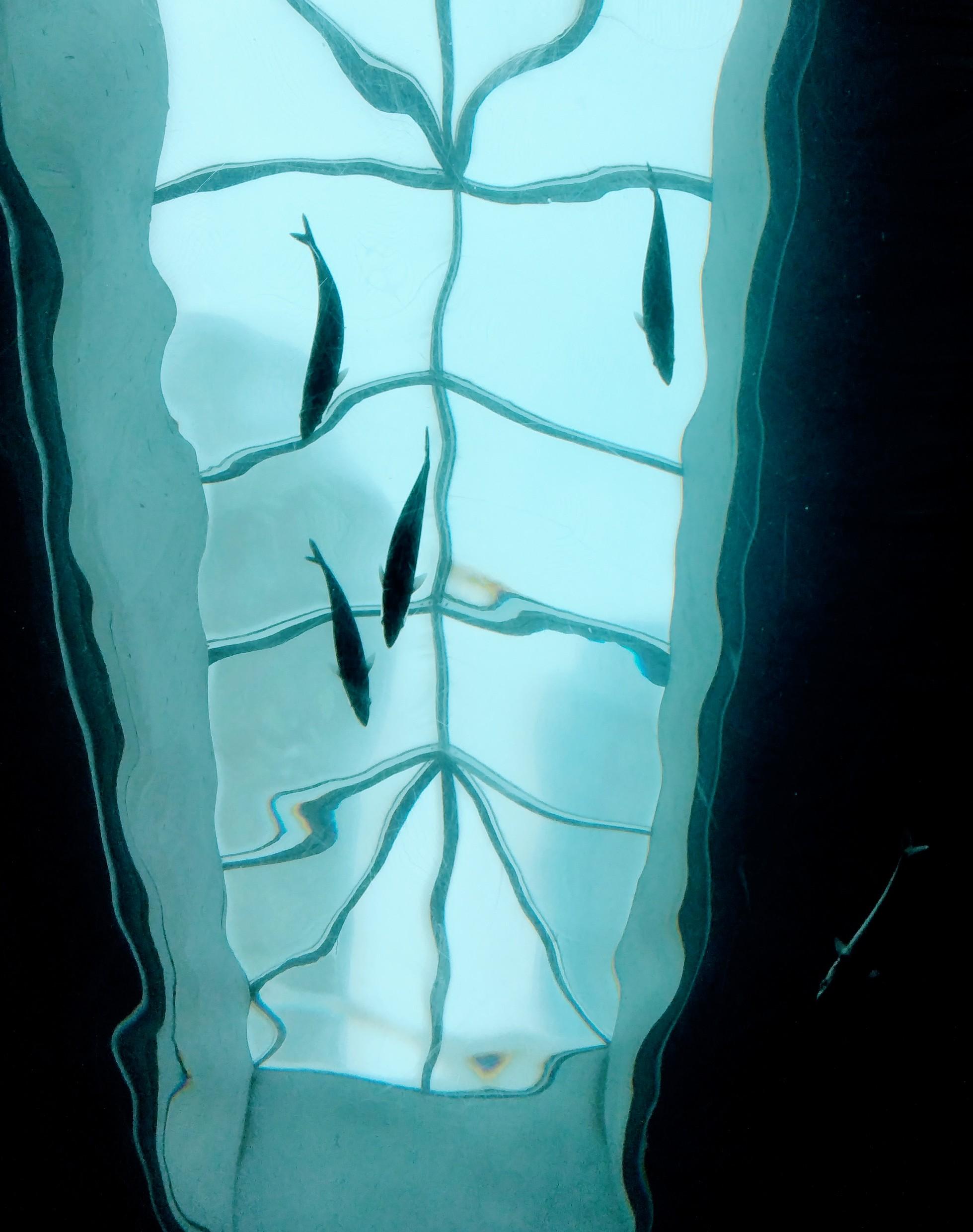 �������J�̓�