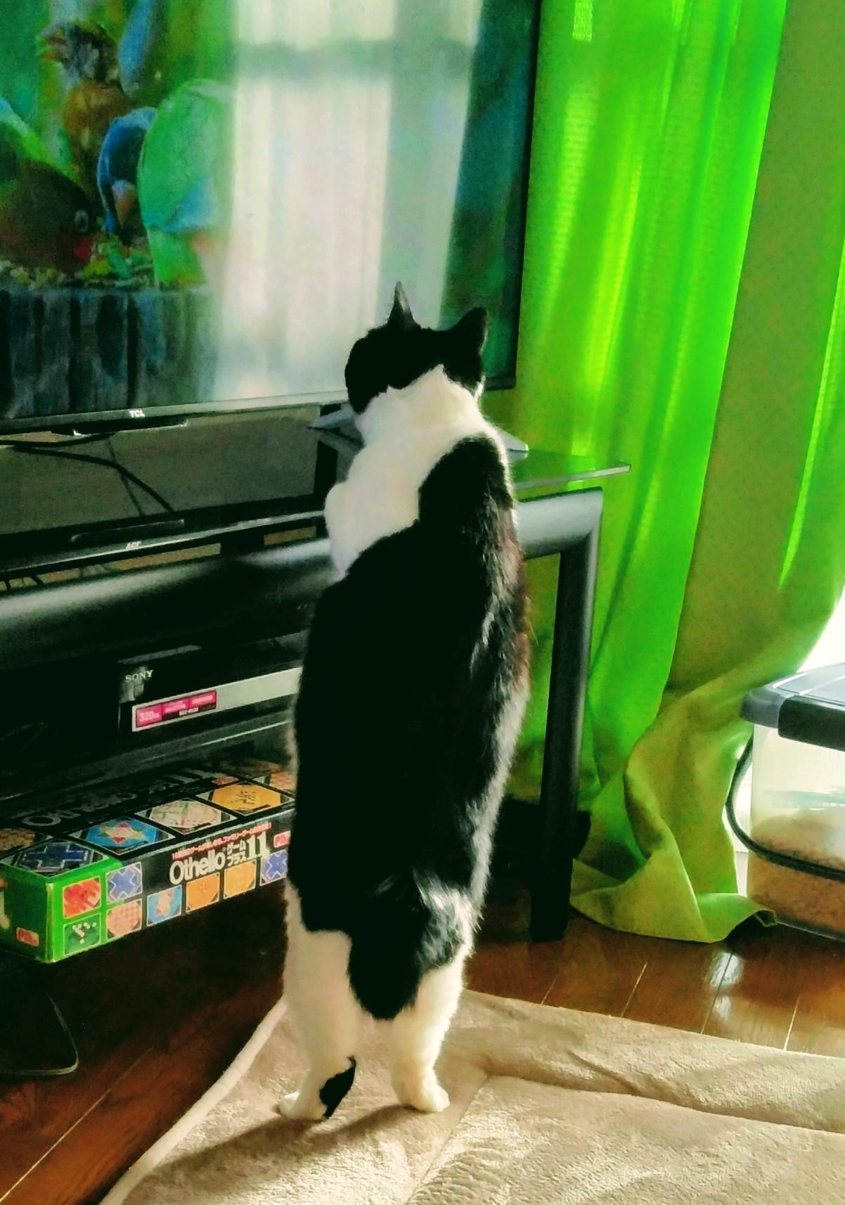 �L���L������1����