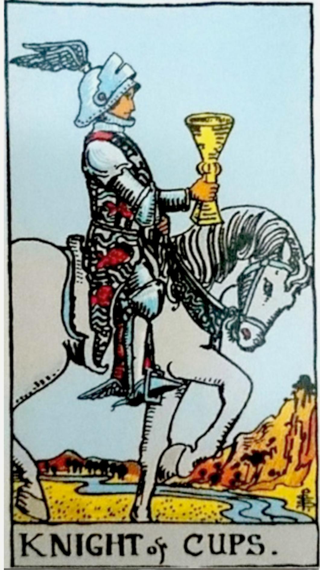 �y1982�N2��13���j���z