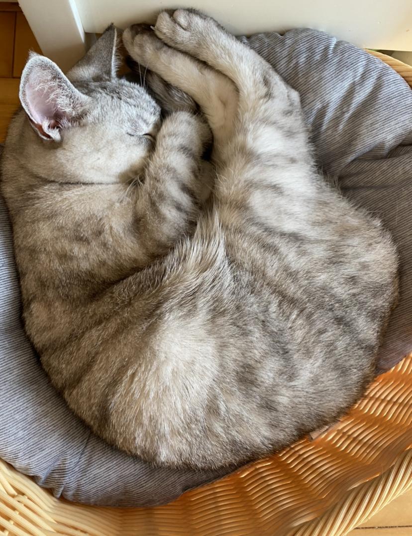 ���ꂩ��ҋ@���܂���