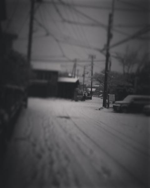 �ЊQ���~�p�p��