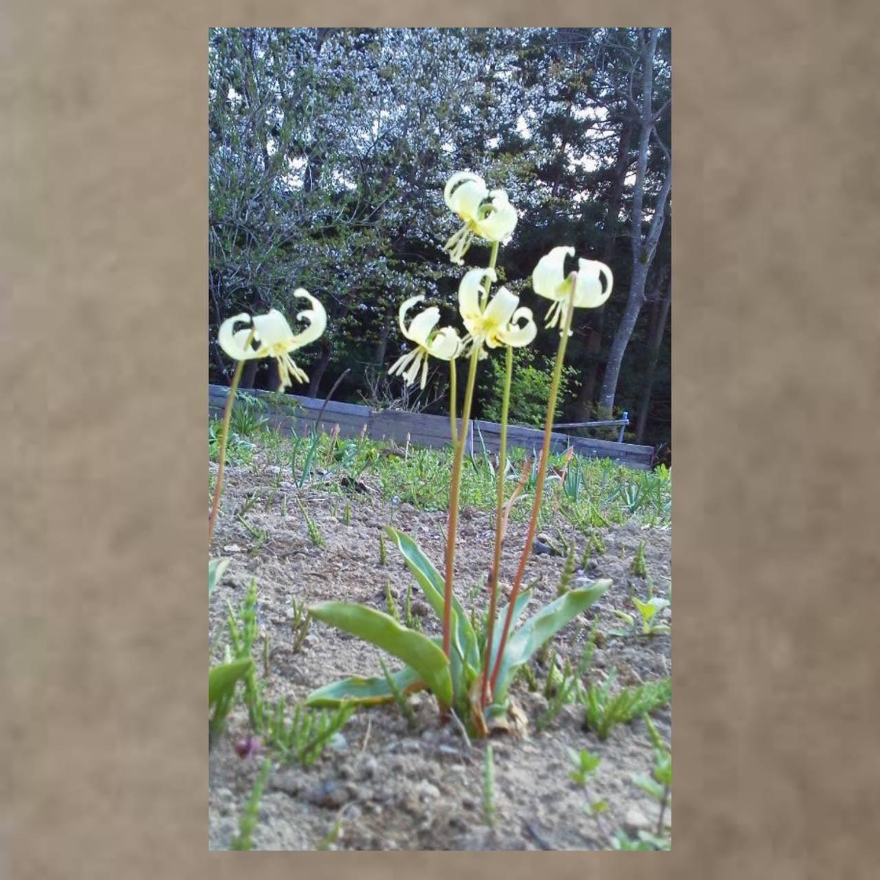 ���鐶�����Ƃ̑���