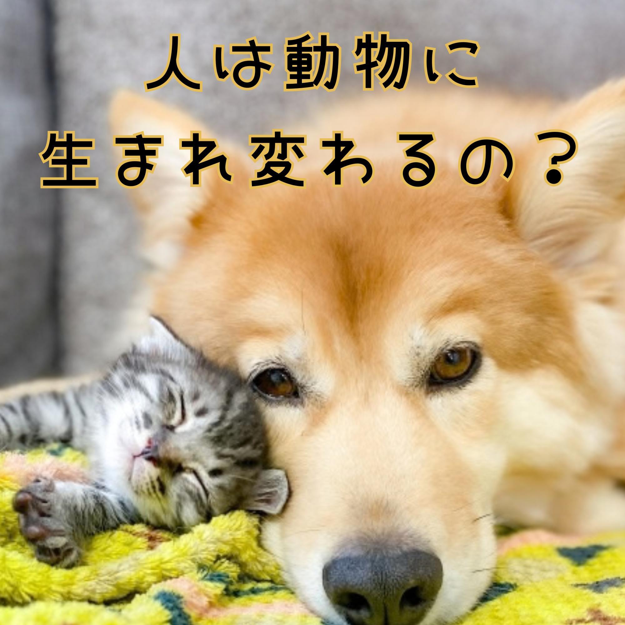 �l�͓����ɐ��܂�ς��́H 