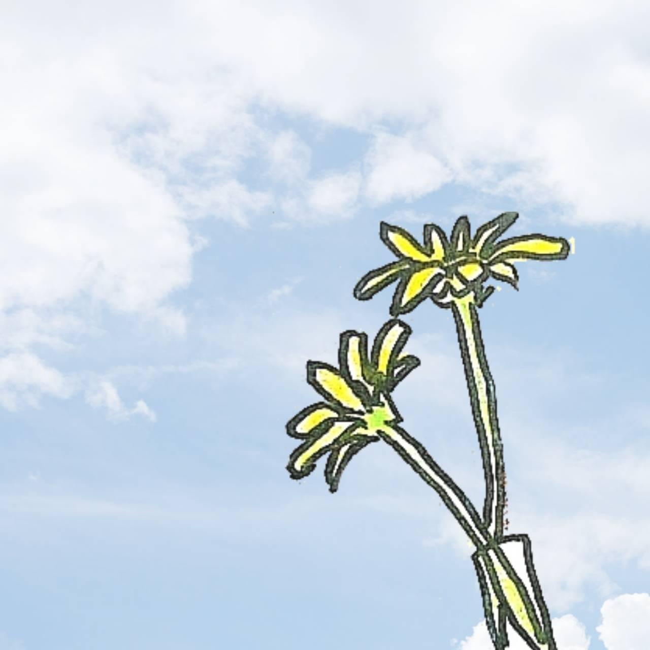 3/11�@�����{��k�Ђ���10�N